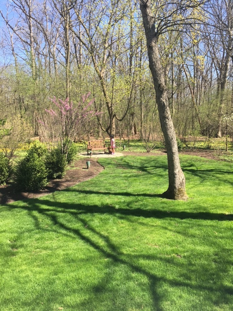 755 Smoke Tree Road Deerfield, IL 60015 - Photo 31 of 35 a garden view with a fountain