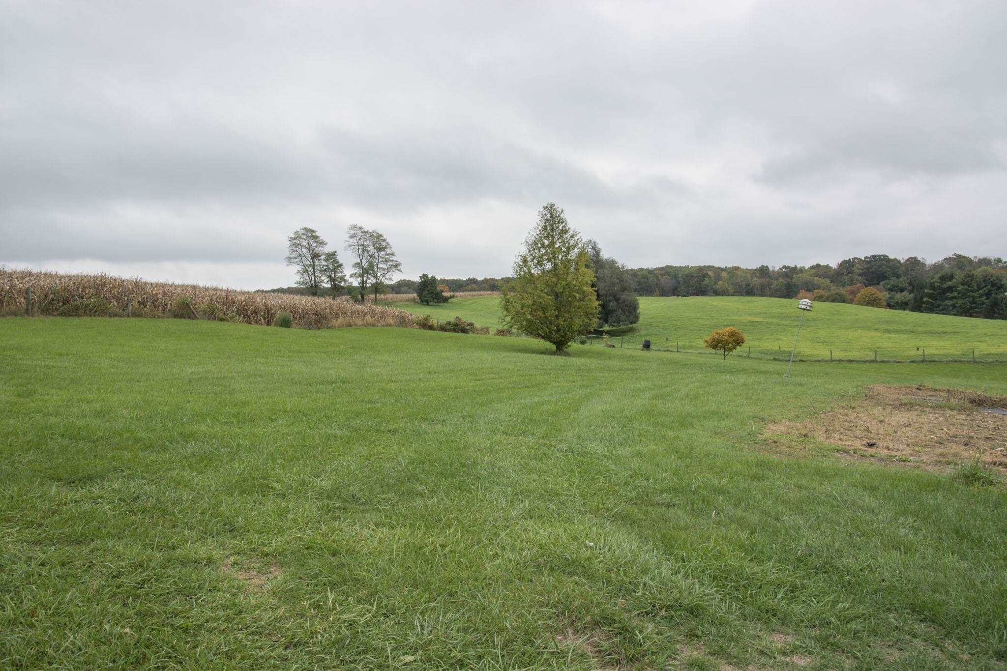 1377 Mt Solon Road Mount Solon, VA 22843 - Photo 46 of 52 a view of a green field with clear sky