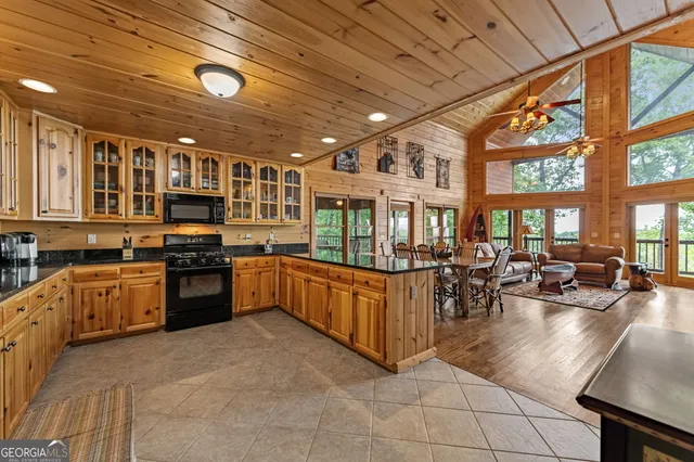 $1,135,000 | 1150 Mountain High Drive, Mineral Bluff, GA 30559