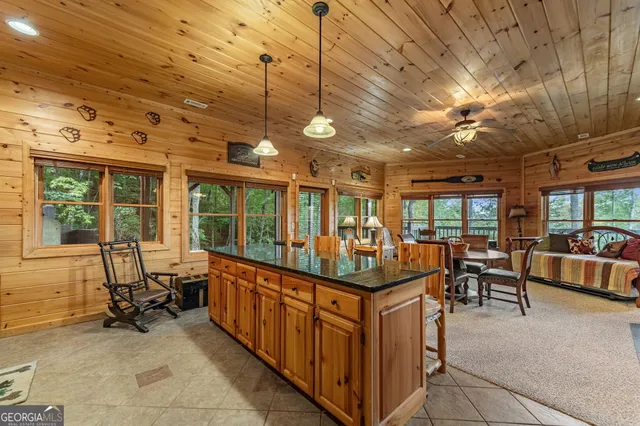 $1,135,000 | 1150 Mountain High Drive, Mineral Bluff, GA 30559