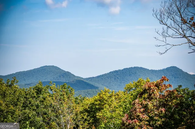 $1,135,000 | 1150 Mountain High Drive, Mineral Bluff, GA 30559