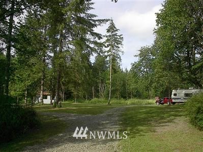 1017-45 Cline Road Randle, WA 98377 - Photo 1 of 1 Gallery Image 1