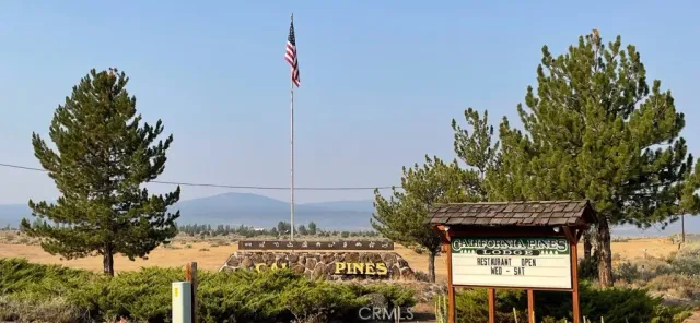 a view of a large building with a tree in the background
