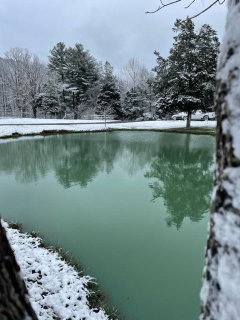 830 Sallie Vanhook Road Somerset, KY 42501 - Photo 45 of 117 IMG_4093