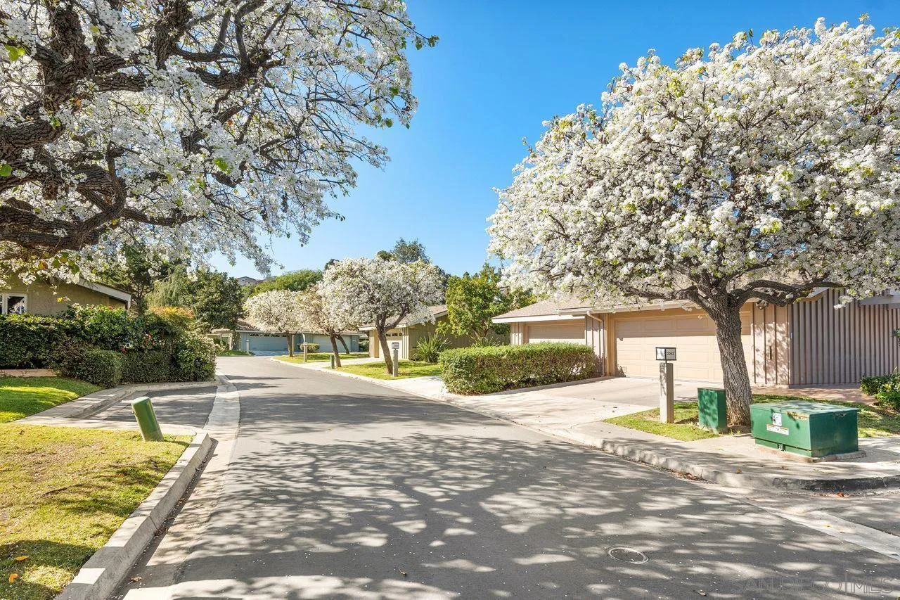 2224 Caminito Cabala La Jolla, CA 92037 - Photo 2 of 36 a view of a house with backyard and tree