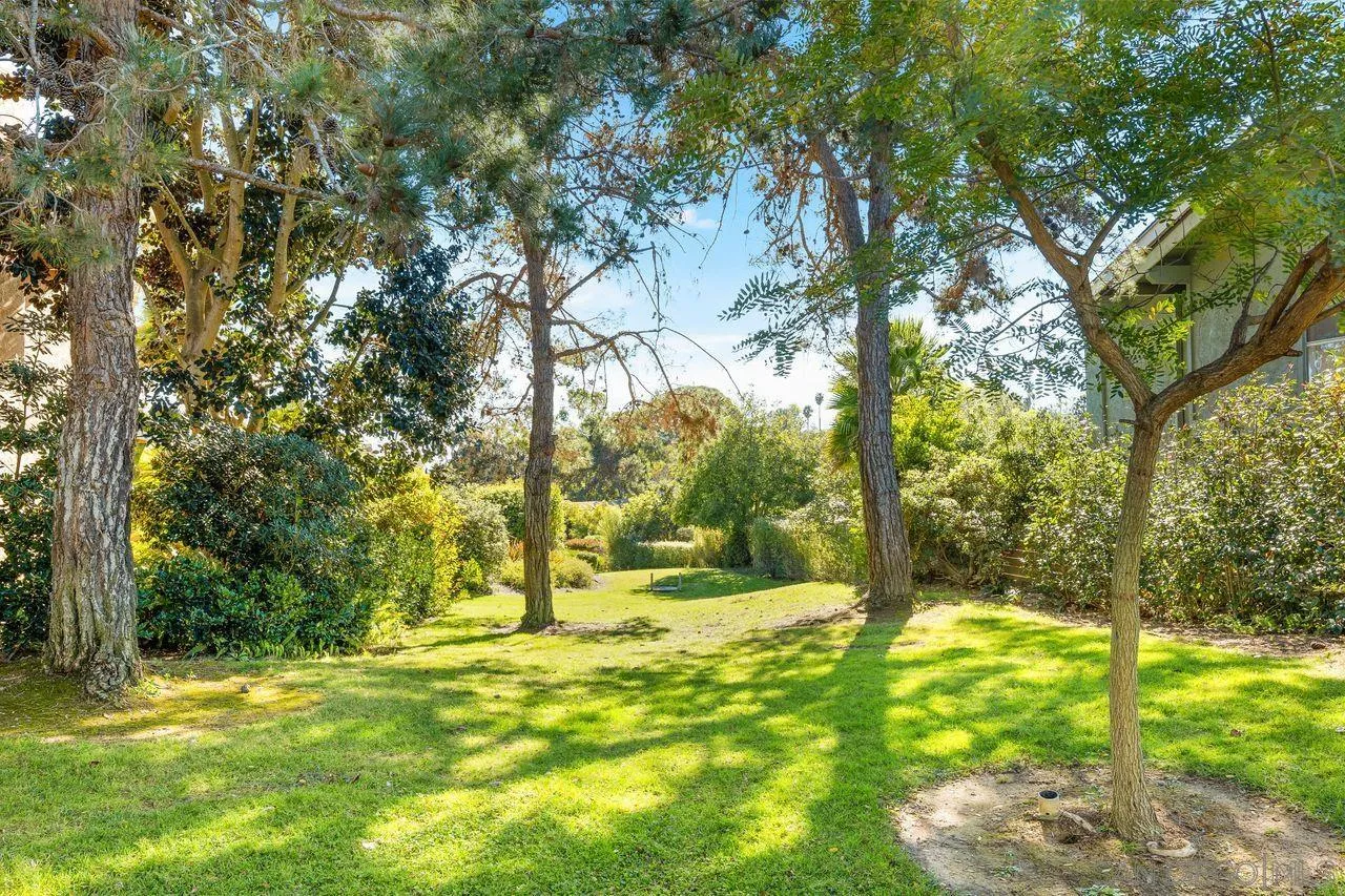 2224 Caminito Cabala La Jolla, CA 92037 - Photo 3 of 36 a view of yard with swimming pool and trees