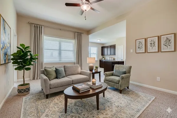 a living room with furniture and a potted plant