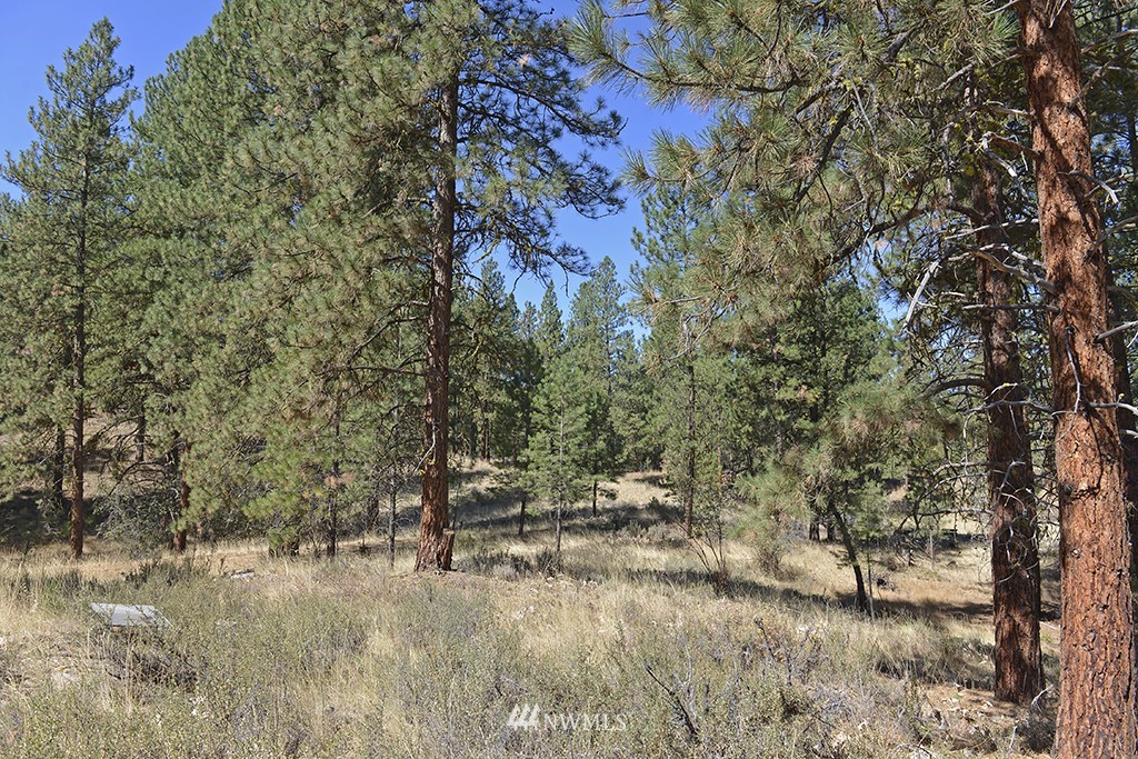 26 Pinto Road Winthrop, WA 98862 - Photo 14 of 21 Gallery Image 14