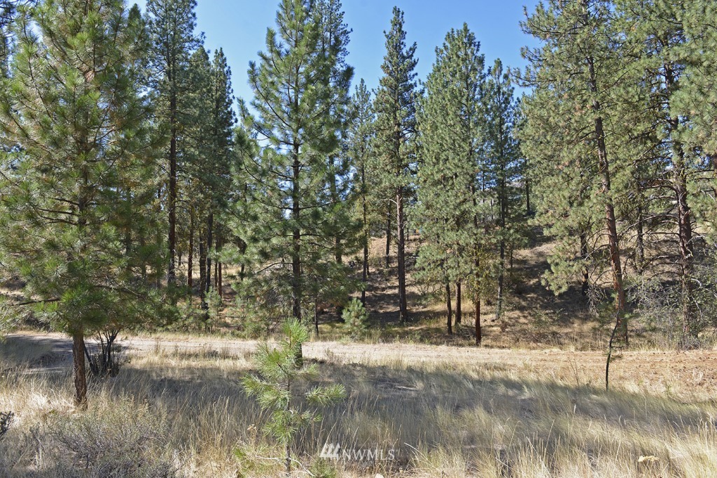 26 Pinto Road Winthrop, WA 98862 - Photo 5 of 21 Gallery Image 5