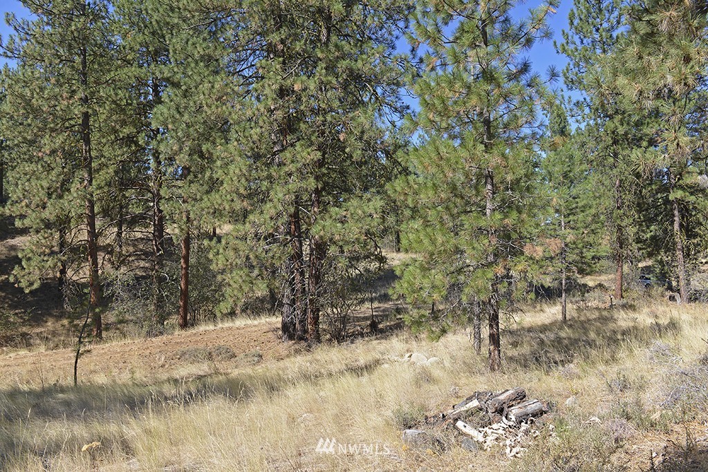 26 Pinto Road Winthrop, WA 98862 - Photo 6 of 21 Gallery Image 6