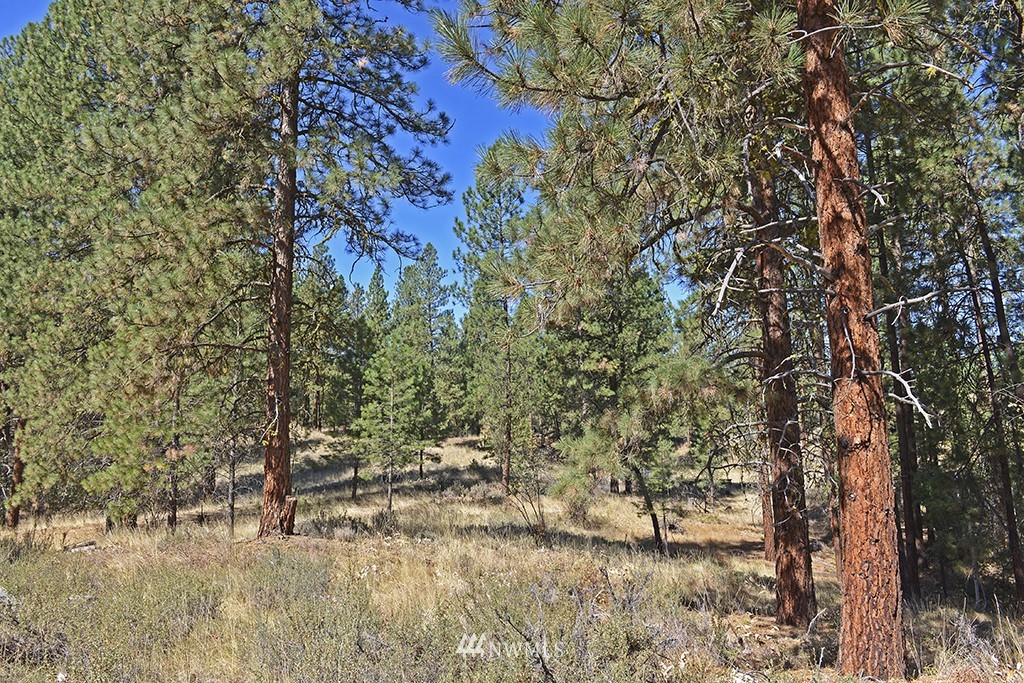 26 Pinto Road Winthrop, WA 98862 - Photo 7 of 21 Gallery Image 7