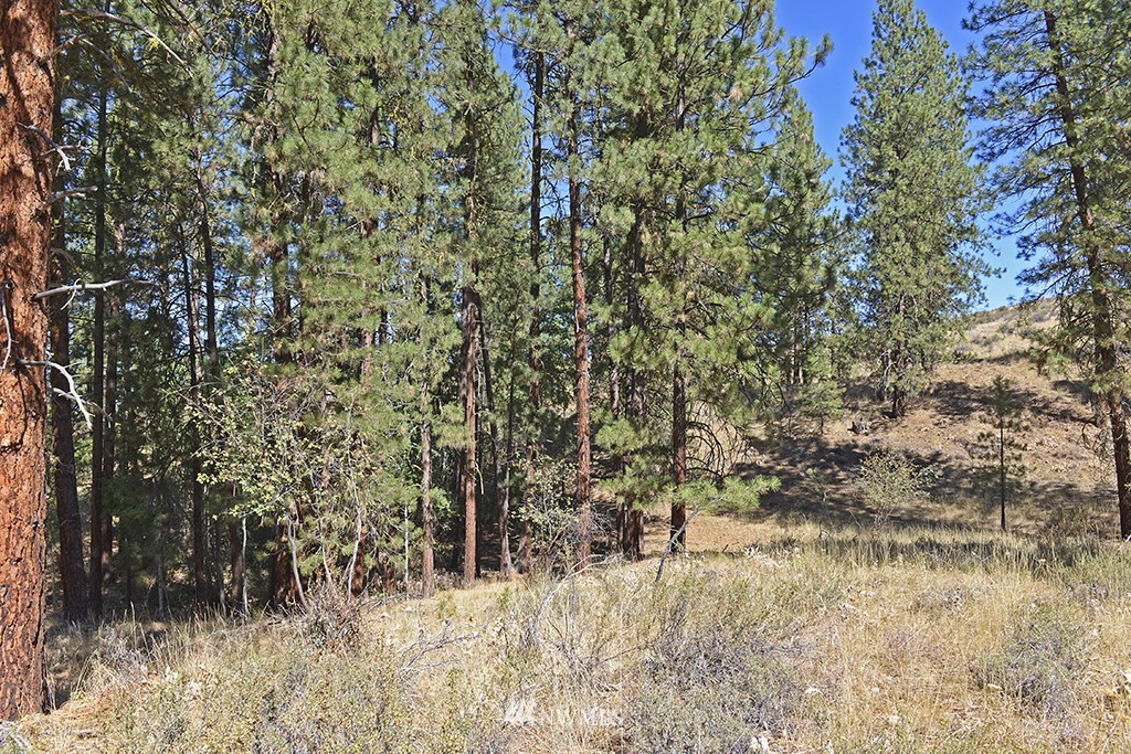 26 Pinto Road Winthrop, WA 98862 - Photo 8 of 21 Gallery Image 8