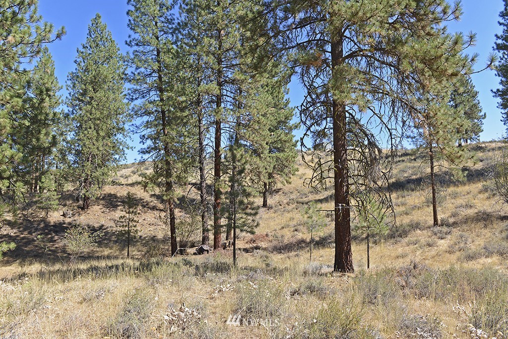 26 Pinto Road Winthrop, WA 98862 - Photo 9 of 21 Gallery Image 9