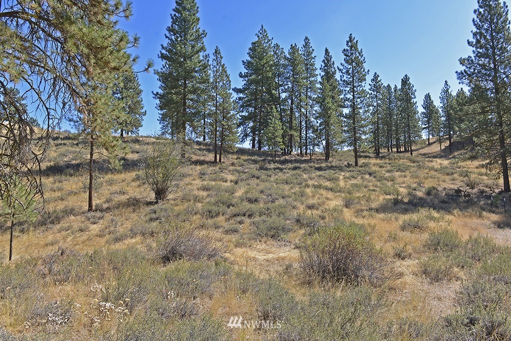 26 Pinto Road Winthrop, WA 98862 - Photo 10 of 21 Gallery Image 10