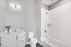 a bathroom with a sink mirror vanity and toilet