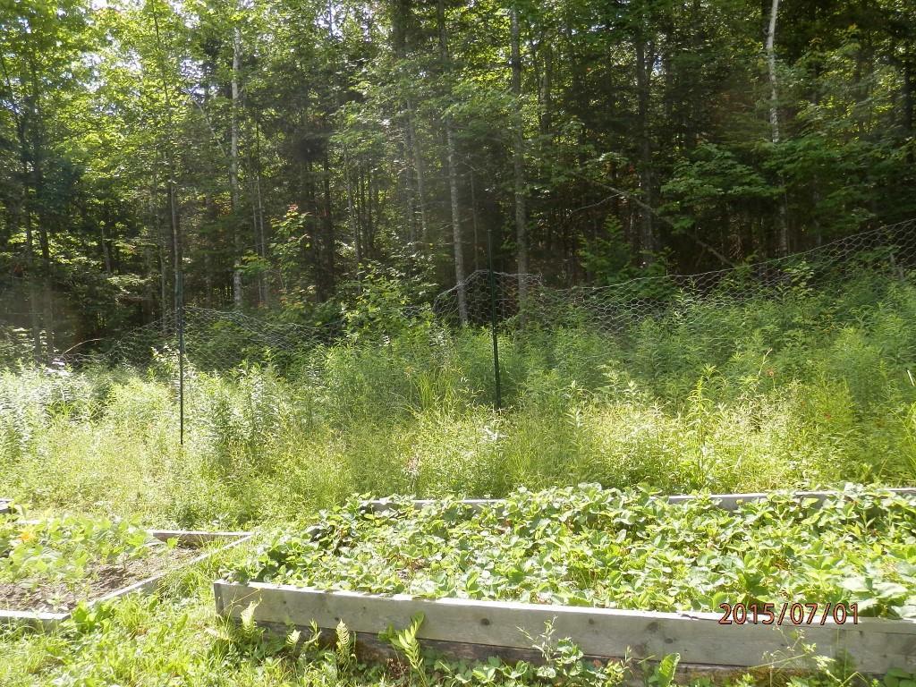 246 Belfast Augusta Road Searsmont, ME 04973 - Photo 5 of 21 Organic Gardening