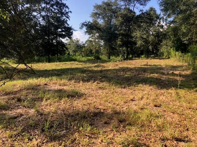 9-ac Walding Road Opp, AL 36467 - Photo 6 of 18 Gallery Image 6