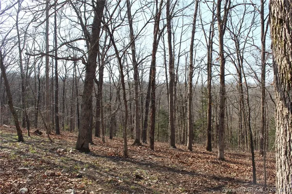 $129,900 | 24560 Highway 135, Versailles, MO 65084