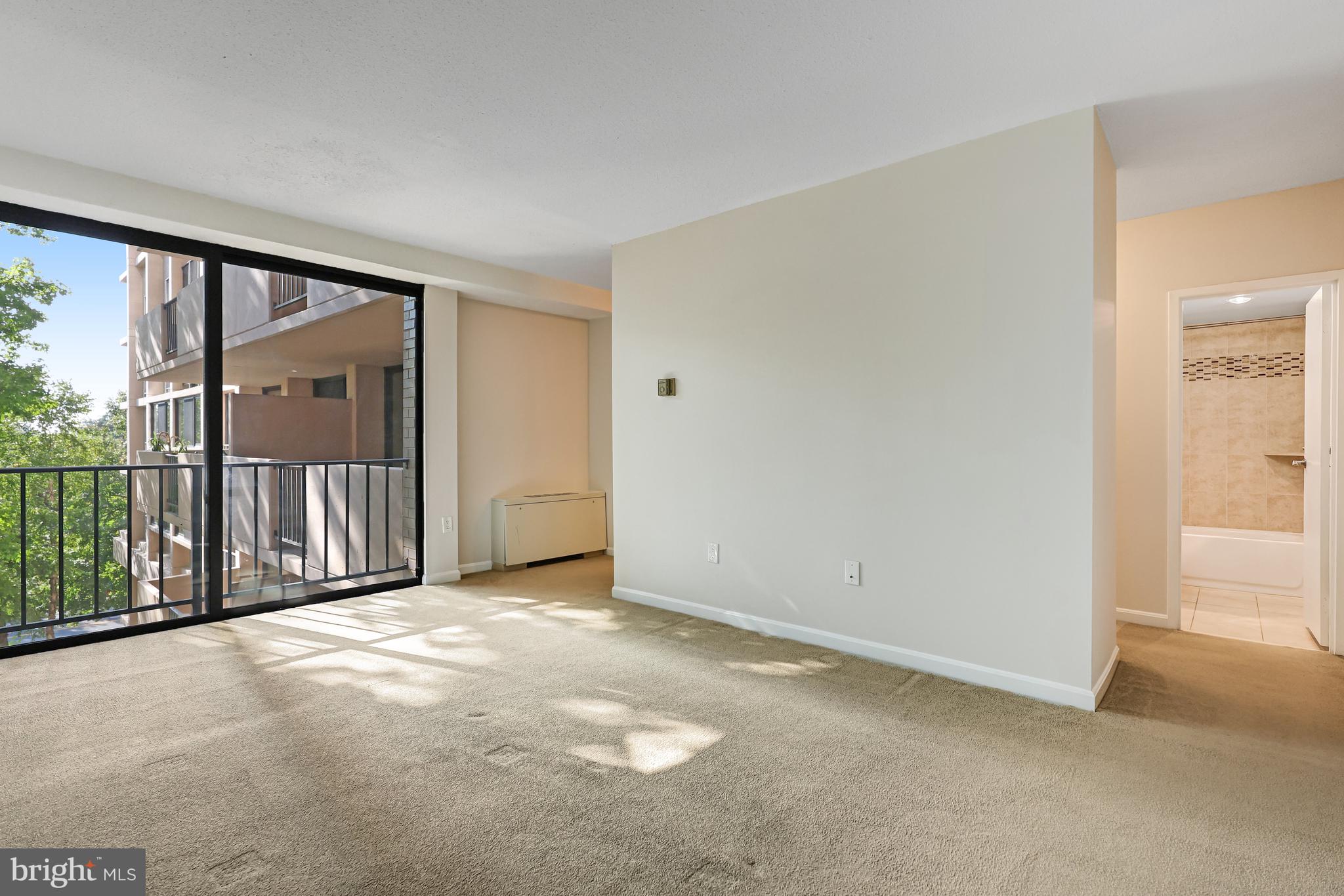 4141 North Henderson Road, Unit 303 Arlington, VA 22203 - Photo 17 of 41 Sun Dappled Bedroom