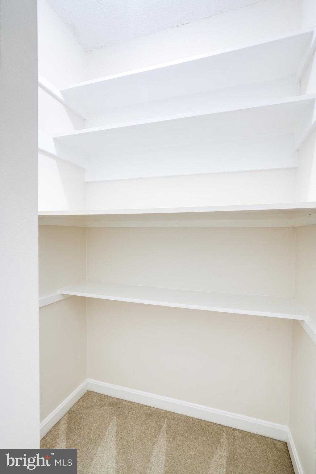 4141 North Henderson Road, Unit 303 Arlington, VA 22203 - Photo 25 of 41 Likelihood of More Closets than you have "stuff".