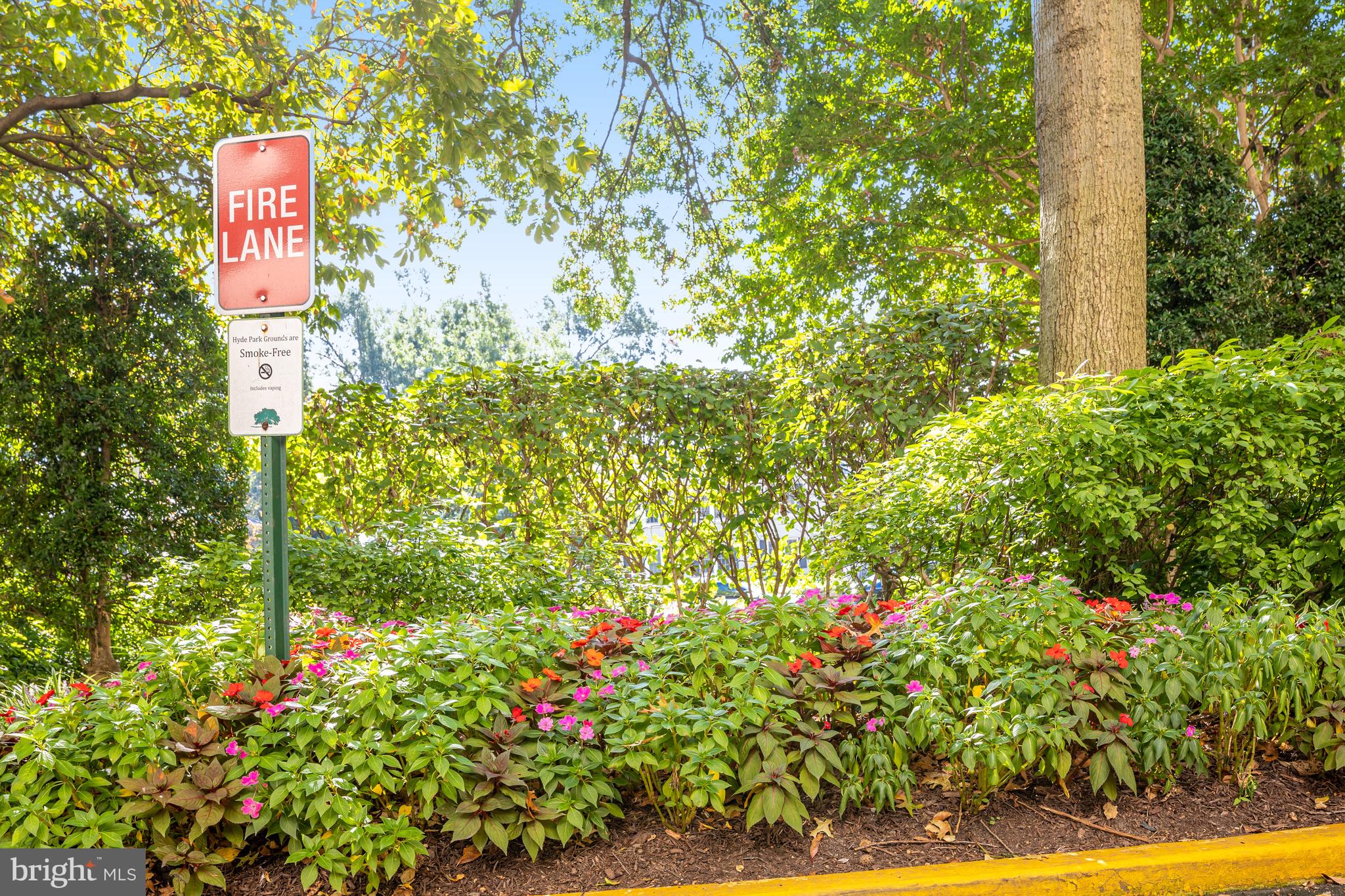 4141 North Henderson Road, Unit 303 Arlington, VA 22203 - Photo 36 of 37 a sign that is sitting in front of flowers