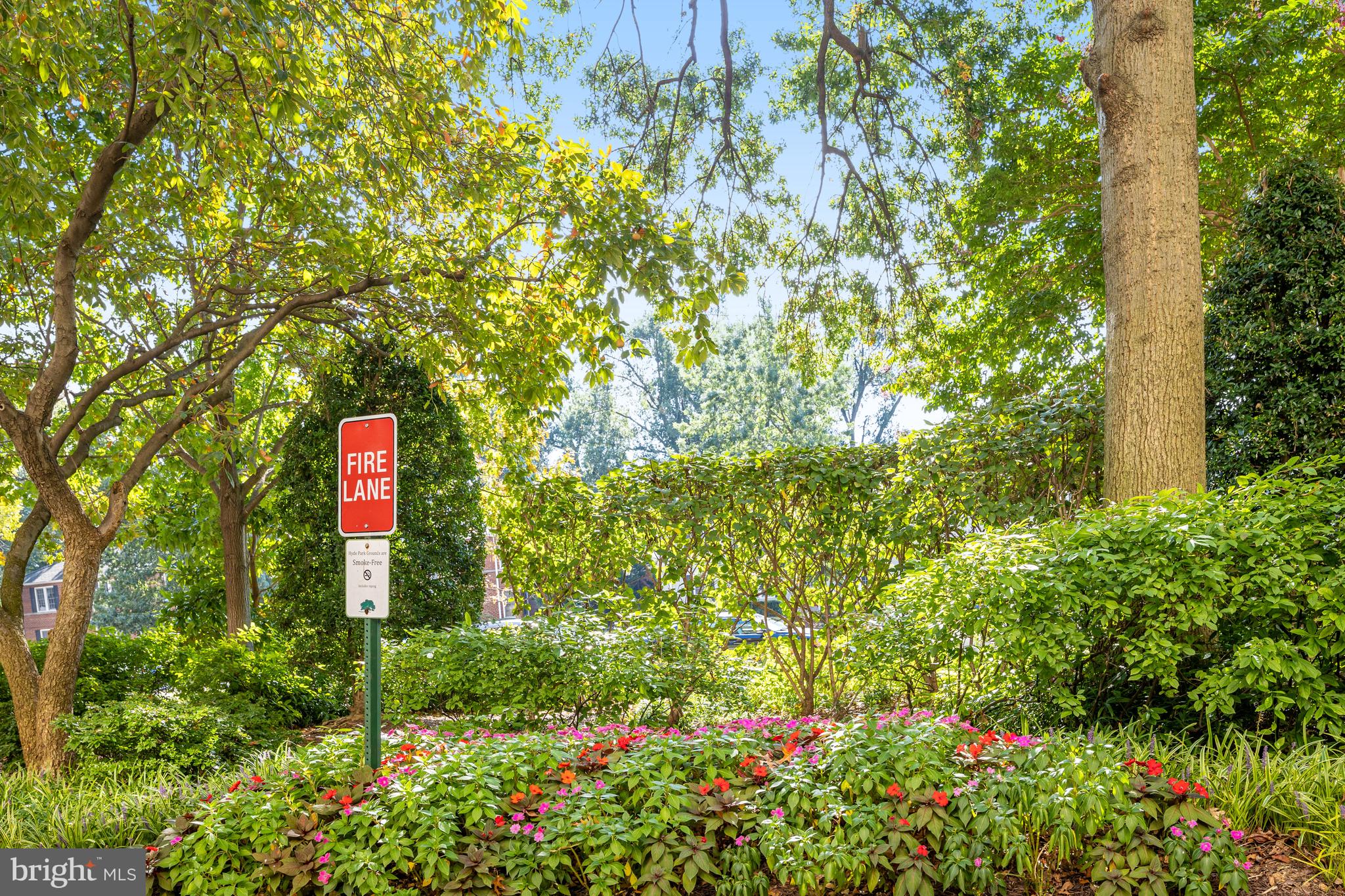 4141 North Henderson Road, Unit 303 Arlington, VA 22203 - Photo 41 of 41 Lots of Greenery