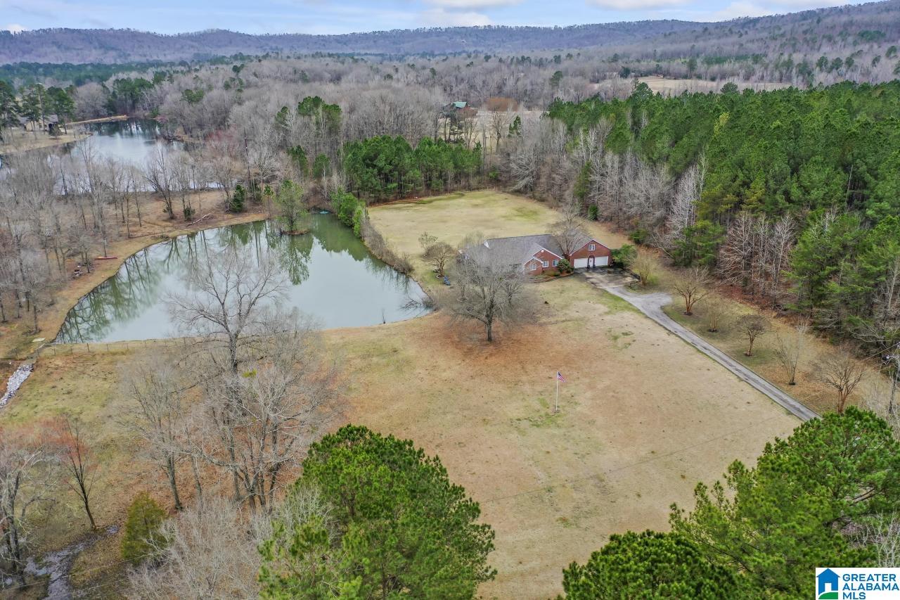 1726 Alston Farm Road Columbiana, AL 35051 - Photo 1 of 61