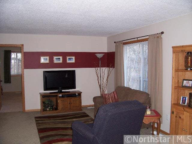 6404 Cannon Road Bowlus, MN 56314 - Photo 6 of 15 Gallery Image 6