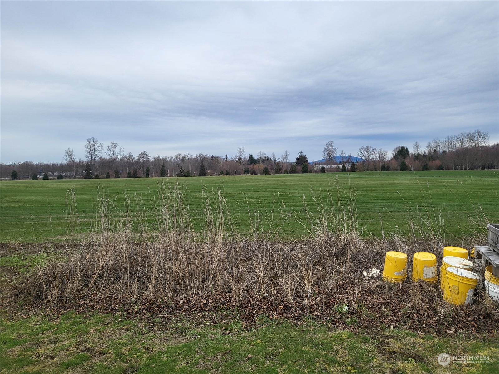 147 State Rte 20 Colville, WA 99114 - Photo 1 of 1 a view of a lake in middle of a field