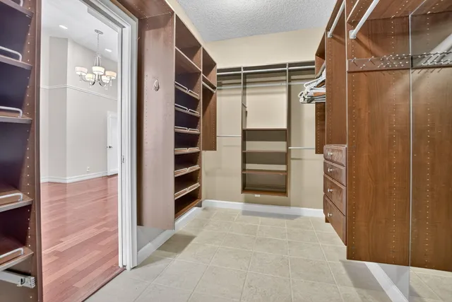 a view of a backyard with plants and a patio