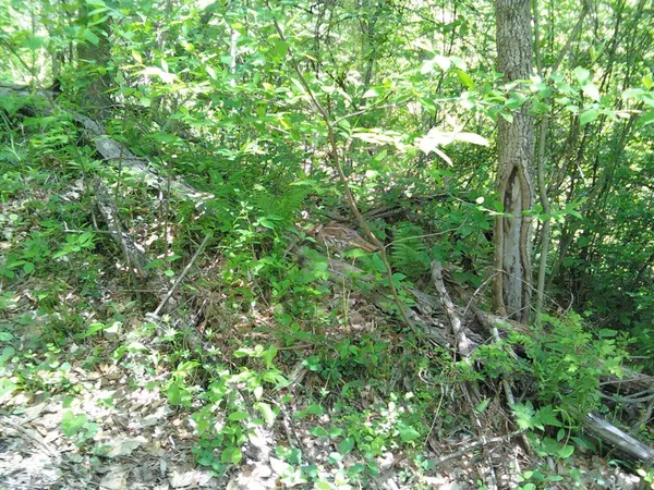 $79,660 | 0 County Road 12, Crooksville, OH 43731