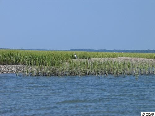 221 Fox Lane Murrells Inlet, SC 29576 - Photo 21 of 25 Gallery Image 21