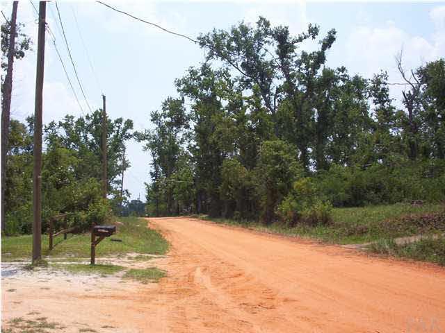 6380 Brickyard Road Molino, FL 32577 - Photo 14 of 17 Standing in the middle of 6380 Brickyard Rd. front yard looking to the left at actual driveway into property and dirt road ahead.