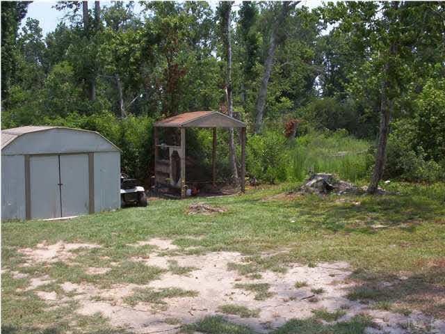6380 Brickyard Road Molino, FL 32577 - Photo 9 of 17 Outside in backyard looking at Right side of property. Shed and chicken coop!