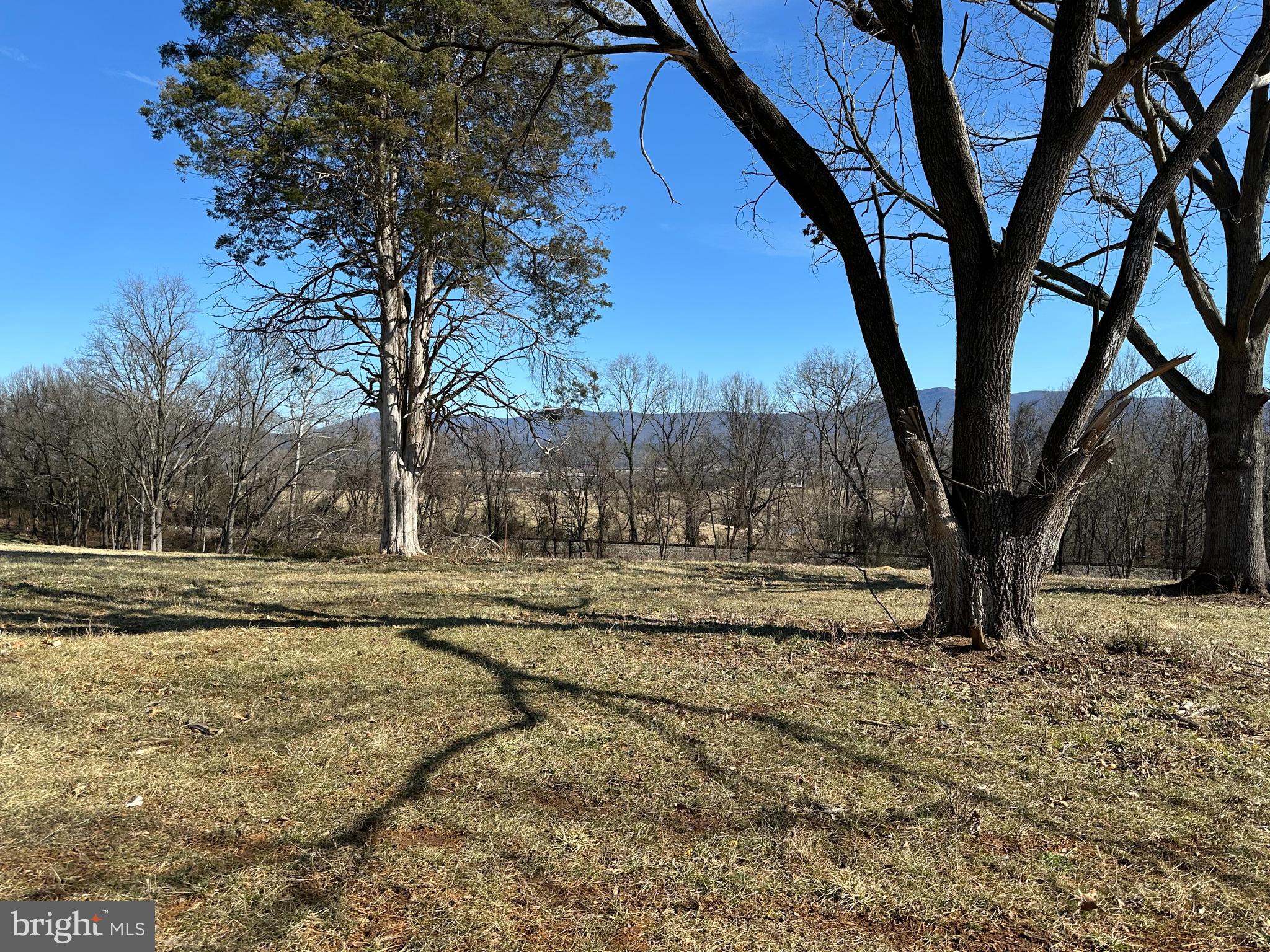 Mill Creek Road Luray, VA 22835 - Photo 4 of 6 Gallery Image 4