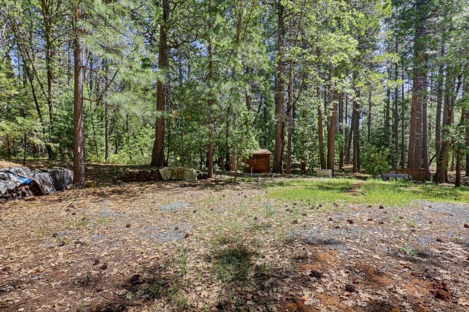 14517 North Bloomfield Road Nevada City, CA 95959 - Photo 52 of 78