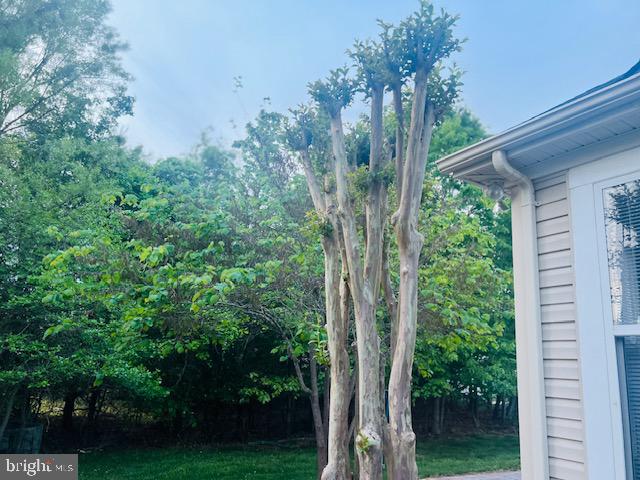 3135 Floating Leaf Lane Waldorf, MD 20603 - Photo 70 of 100 a view of a trees in a yard