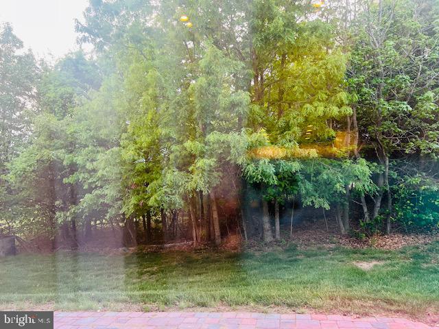 3135 Floating Leaf Lane Waldorf, MD 20603 - Photo 89 of 100 a backyard of a house with lots of green space and fountain