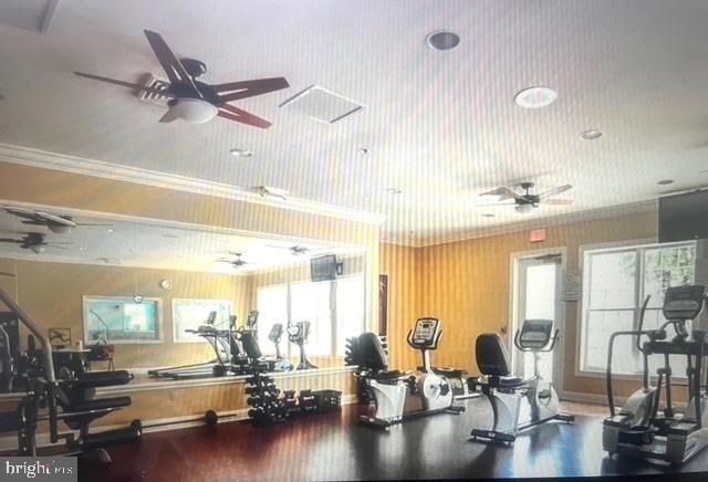 3135 Floating Leaf Lane Waldorf, MD 20603 - Photo 93 of 100 Community Gym