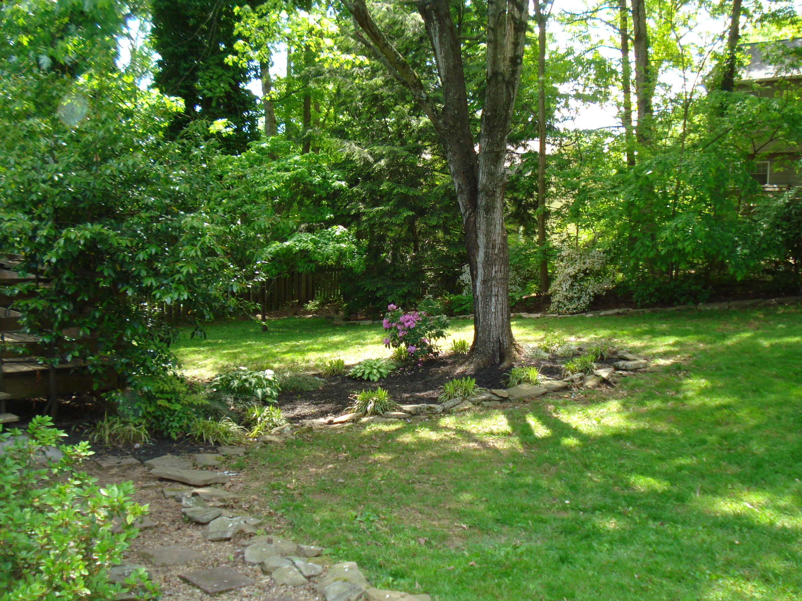 1367 Wenlock Road Knoxville, TN 37922 - Photo 29 of 32 Wooded Backyard