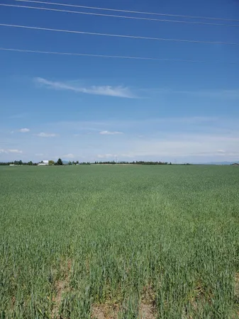 $450,000 | 395 North Hwy Deer Park, Deer Park, WA 99006