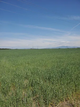 $450,000 | 395 North Hwy Deer Park, Deer Park, WA 99006