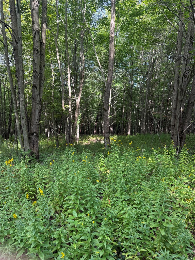 512 Fisher Road Alfred, NY 14806 - Photo 34 of 46 Gallery Image 34