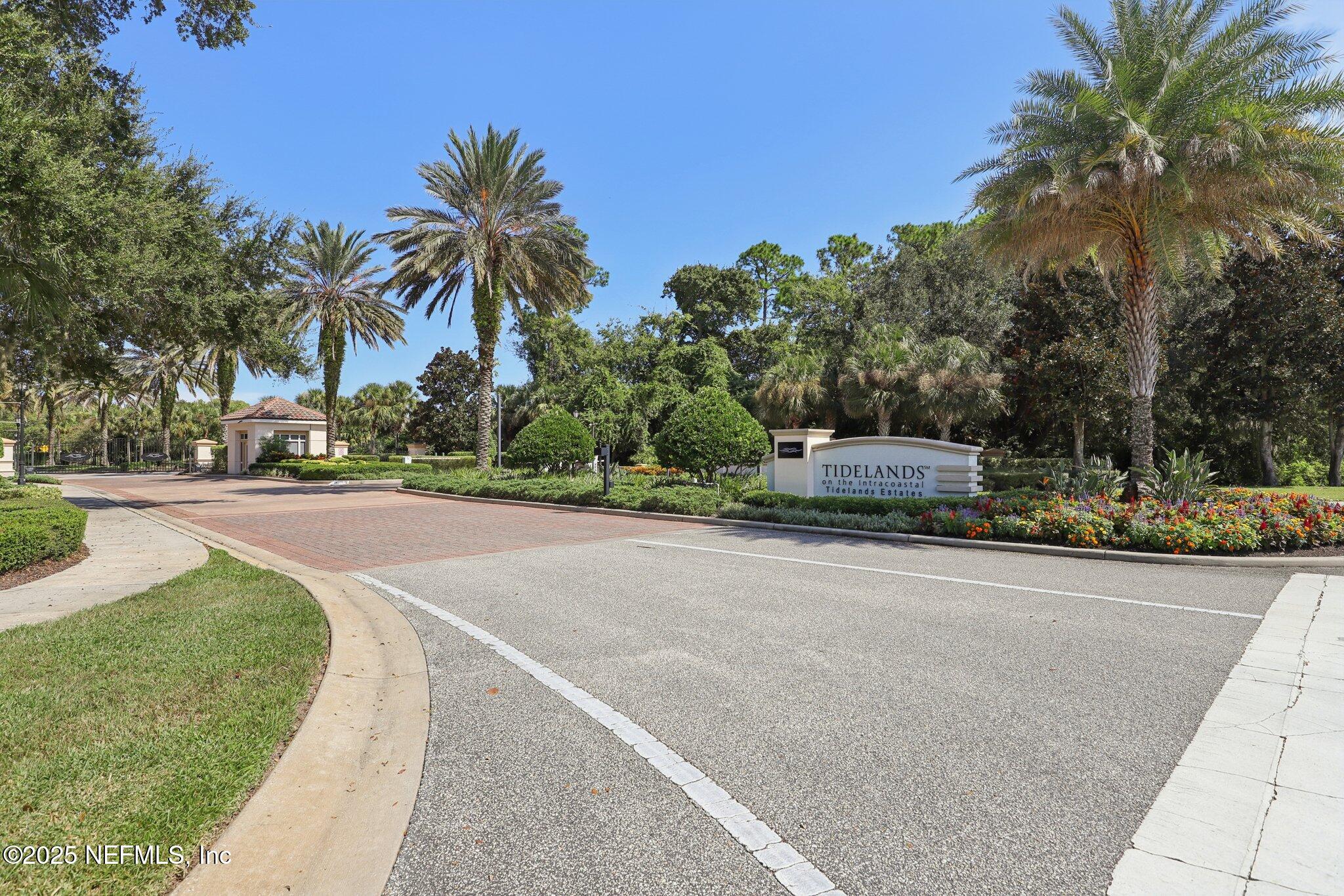 116 Longview Way North Palm Coast, FL 32137 - Photo 26 of 32 a palm tree sitting in front of a house with a big yard