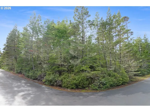 a view of a yard with an tree