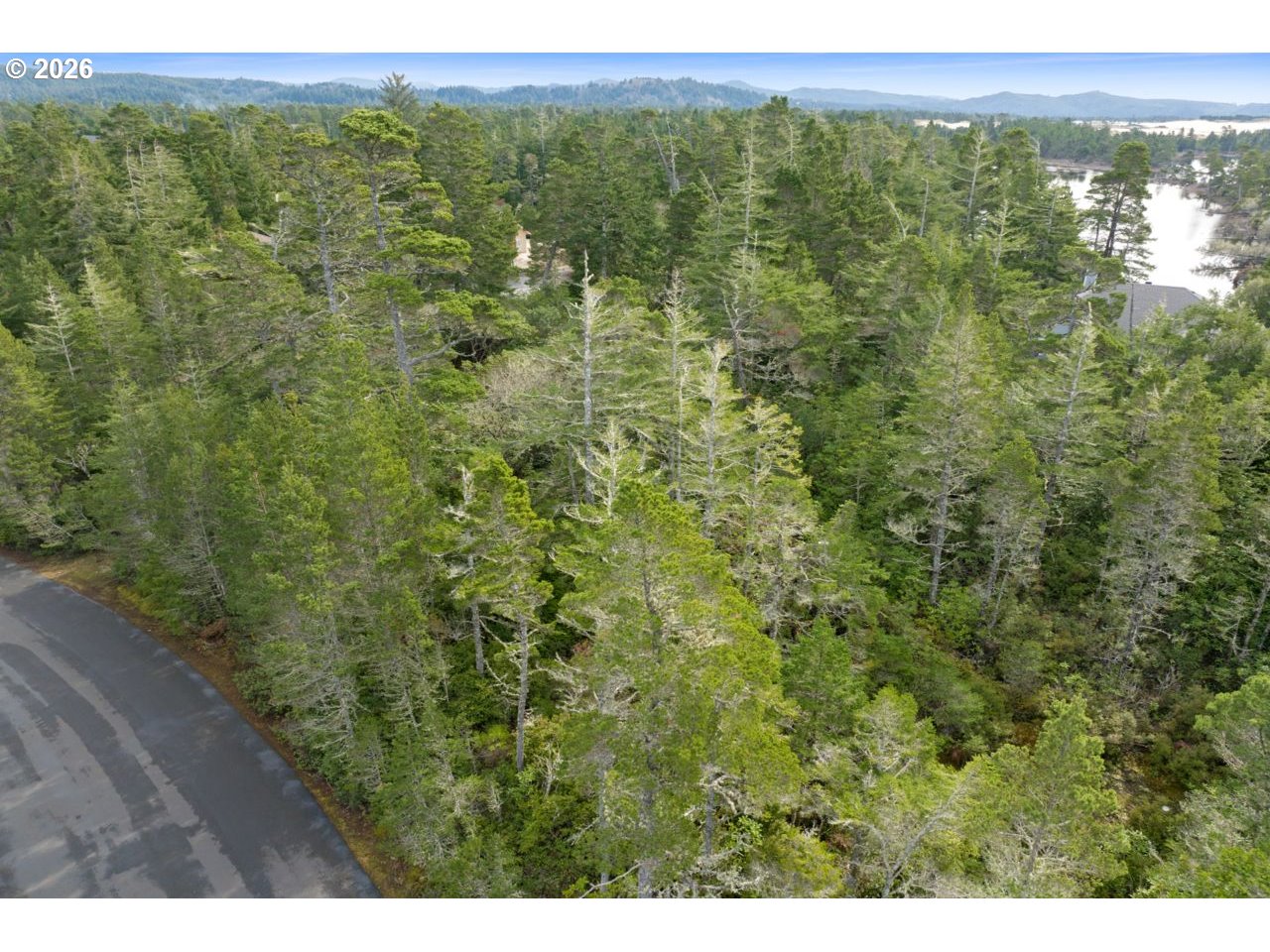 Woodlake Way Florence, OR 97439 - Photo 17 of 23 a view of a forest from a yard