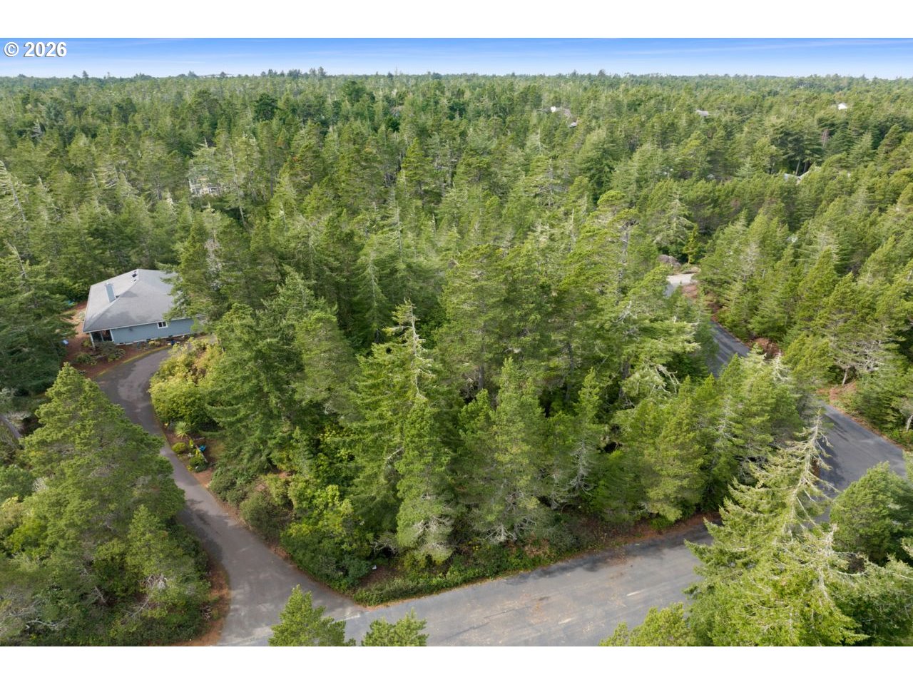 Woodlake Way Florence, OR 97439 - Photo 5 of 23 a view of a forest with a street