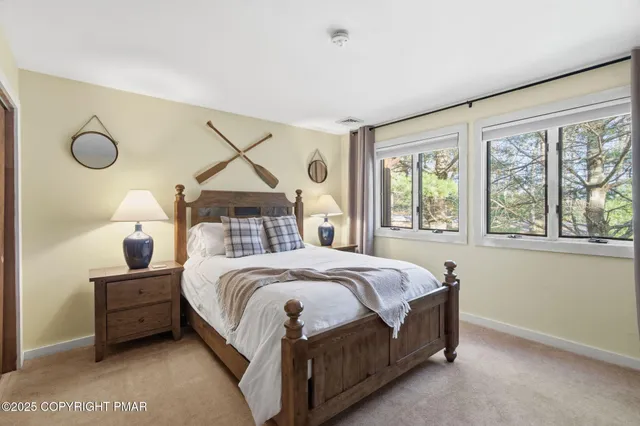 a view of a backyard with large trees