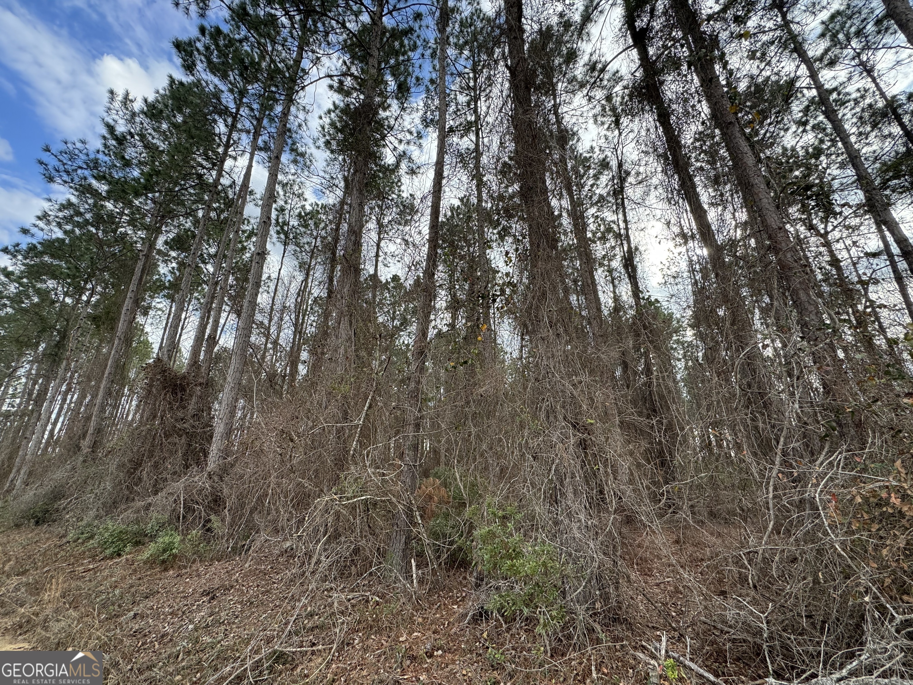 0 Cofield Road Eastman, GA 31023 - Photo 1 of 1 Gallery Image 1