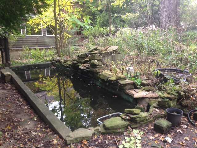 116 Siebert Road Pittsburgh, PA 15237 - Photo 18 of 20 Yard/Garden.
